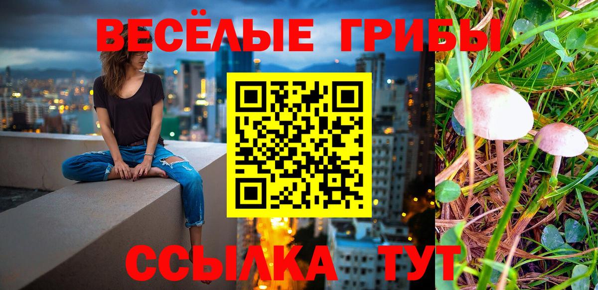 Псилоцибиновые грибы GOLDEN TEACHER Дедовск