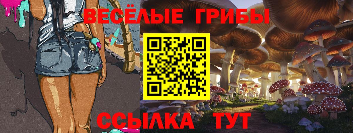 Псилоцибиновые грибы ЛСД  Вход с VPN  Дедовск 
